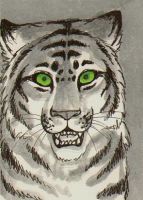 Green Eyes